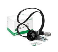 INA 529 0425 10 Kit Cinghie Poly-V