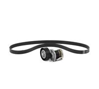 INA 529 0458 10 Kit Cinghie Poly-V