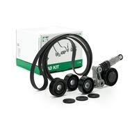 INA 529 0472 10 Kit Cinghie Poly-V per VW Phaeton per AUDI Q5 (8RB) A4 Avant