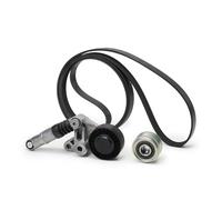 INA Kit Cinghie Poly-V 529 0472 20 VW,AUDI,Phaeton (3D1, 3D2, 3D3, 3D4, 3D6, 3D7, 3D8, 3D9),A4 Avant (8K5, B8),Q5 (8RB),A6 Avant (4F5, C6)