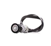 INA 529 0475 10 Kit Cinghie Poly-V per VW Polo Hatchback (6R1, 6C1) TIGUAN (5N)