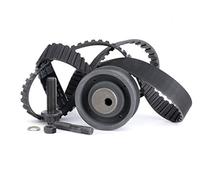 Ina 530000210 Kit Tendicinghia