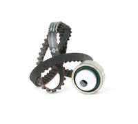 INA 530 0016 10 Kit cinghia di distribuzione