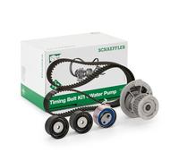 INA 530 0049 30 Kit cinghia distribuzione, pompa acqua