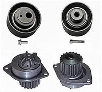 INA Kit distribuzione e pompa acqua 530 0055 30 per Citroën e Peugeot