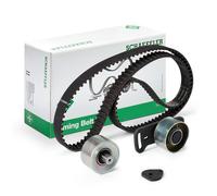Ina 530005610 Kit Tendicinghia