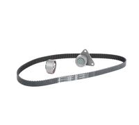 INA 530 0063 10 Kit cinghia di distribuzione