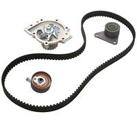 Pompa dell'acqua + kit cinghia di distribuzione INA 530 0063 30
