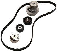 INA 530 0078 30 Kit cinghia distribuzione, pompa acqua