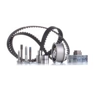 Set di cinghie di distribuzione INA 530 0082 10