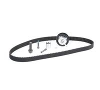 INA Kit cinghie dentate compatibile con AUDI SEAT SKODA VW 530 0085 10