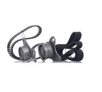 INA 530 0109 10 Kit cinghia di distribuzione