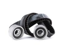 Set di cinghie di distribuzione INA 530 0113 10