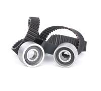 Ina 530011710 Kit Tendicinghia