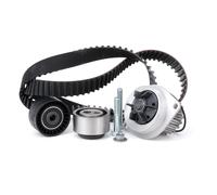 Pompa dell'acqua + kit cinghia di distribuzione INA 530 0119 30
