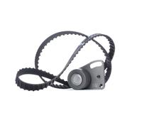 INA 530 0135 10 Kit cinghia di distribuzione