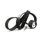 INA 530 0144 10 Kit cinghia di distribuzione