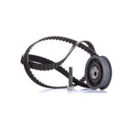 Set di cinghie di distribuzione INA 530 0149 10