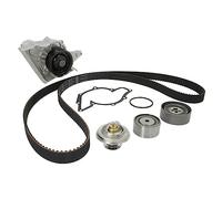 Pompa dell'acqua + kit cinghia di distribuzione INA 530 0158 30