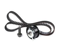 Set di cinghie di distribuzione INA 530 0164 10