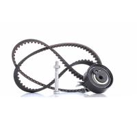 INA Kit tendicinghia 530016610 cinghia distribuzione per VW e SEAT