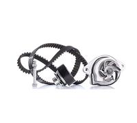 Pompa dell'acqua + kit cinghia di distribuzione INA 530 0166 31