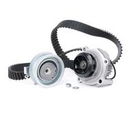 INA 530 0171 31 Kit cinghia distribuzione pompa acqua per VW Golf IV Hatchback