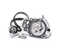 INA 530 0182 30 Kit cinghia distribuzione pompa acqua per RENAULT TWINGO I (C06)