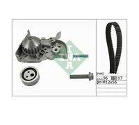 INA 530 0191 30 Pompa Dell'Acqua + Kit Cinghia Dentata Per Renault Kangoo KC0/1