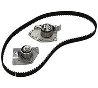 INA 530 0196 30 Kit cinghia distribuzione pompa acqua 30,8 mm