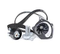 Ina 530019731 Kit Tendicinghia