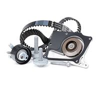 INA 530 0197 32 Kit cinghia distribuzione, pompa acqua