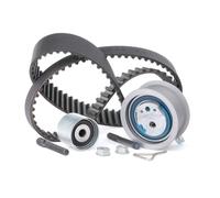 INA 530 0201 10 Kit cinghia di distribuzione per VW Golf IV Hatchback (1J1)