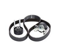 Set di cinghie di distribuzione INA 530 0238 10