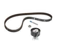 Kit cinghia distribuzione 530 0334 10 INA per CITROËN PEUGEOT