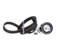 INA 530 0335 10 Kit cinghia di distribuzione