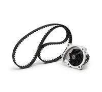 Set cinghia di distribuzione + pompa dell'acqua INA 530 0338 30