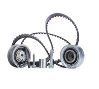 Set di cinghie di distribuzione INA 530 0361 10