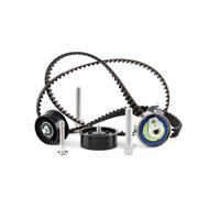 Ina 530044110 Kit Tendicinghia