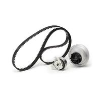 Ina 530044130 Kit Tendicinghia