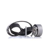 Kit cinghia distribuzione 530 0481 10 INA per AUDI VW