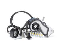 INA 530 0495 30 Kit cinghia distribuzione, pompa acqua