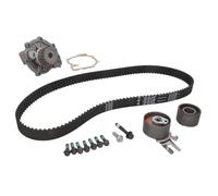 INA 530 0582 30 Kit cinghia distribuzione, pompa acqua