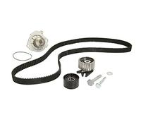 Pompa dell'acqua + kit cinghia di distribuzione INA 530 0622 30