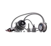 INA 530 0650 30 Kit cinghia distribuzione pompa acqua 29 mm