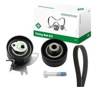 Kit Distribuzione INA per PSA 2.0D 2009-2023