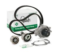 INA 530 0840 30 Kit cinghia distribuzione, pompa acqua