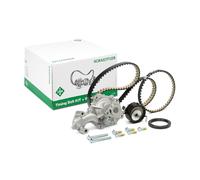 INA 530 0958 30 Kit cinghia distribuzione, pompa acqua