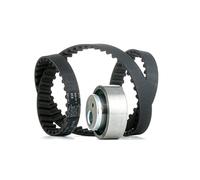 Set di cinghie di distribuzione INA 530 0012 10