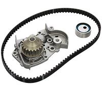 Ina 530001831 Kit Tendicinghia